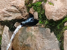 Groundwater: Kagera’s Hidden Hero in the Fight for Clean Water and Public Health