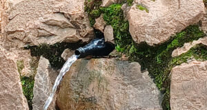 Groundwater: Kagera’s Hidden Hero in the Fight for Clean Water and Public Health