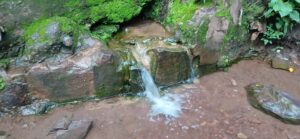 The groundwater is turning into a  Lifeblood of Kagera
