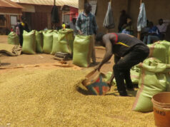 Wakulima Tanzania waathirika na mabadiliko ya tabianchi.
