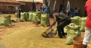 Wakulima Tanzania waathirika na mabadiliko ya tabianchi.