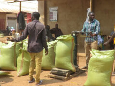 Can COP30 solve farmers challenges in Africa?