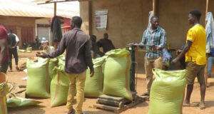 Can COP30 solve farmers challenges in Africa?