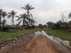 Tanzania Loses Over 500 billion shillings annually due to Disasters