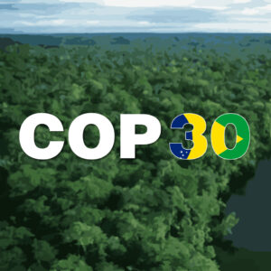 Tanzania and others to Challenge COP30